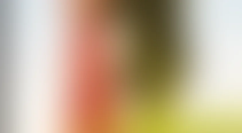 Любовная лихорадка