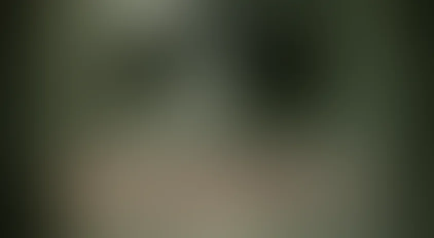 Затаившиеся