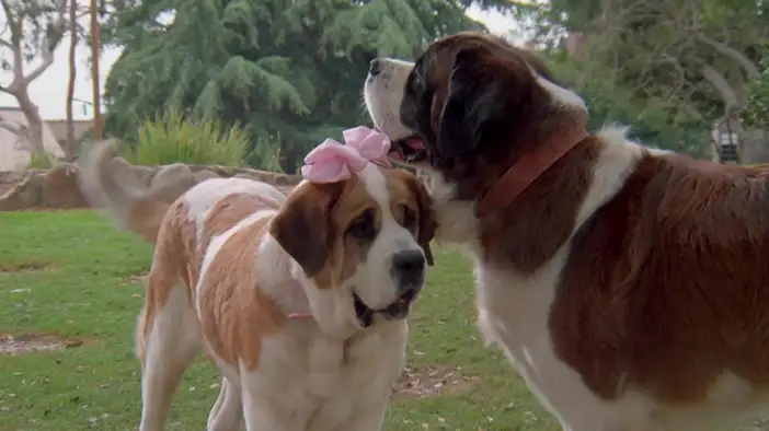 Фрагмент (русский язык)