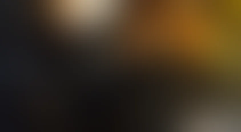 Максимальный срок