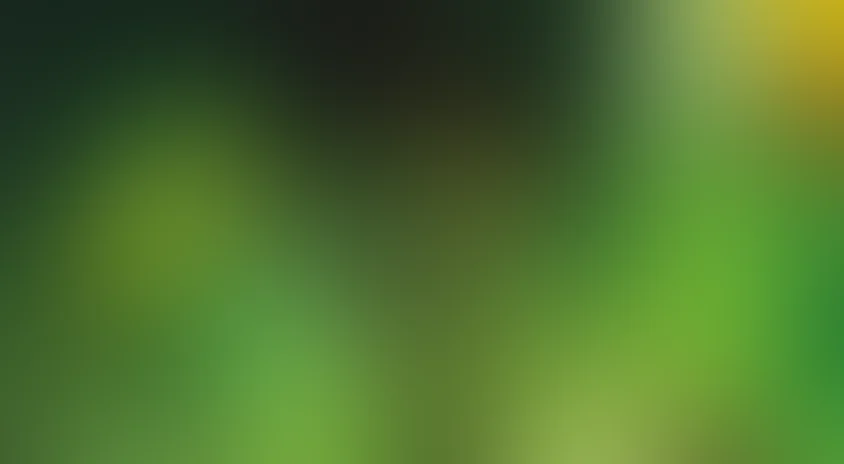 Турок. Затерянный мир