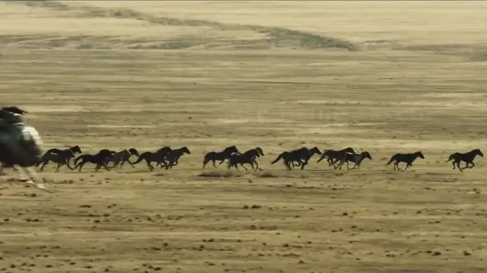 Трейлер 2 (английский язык)