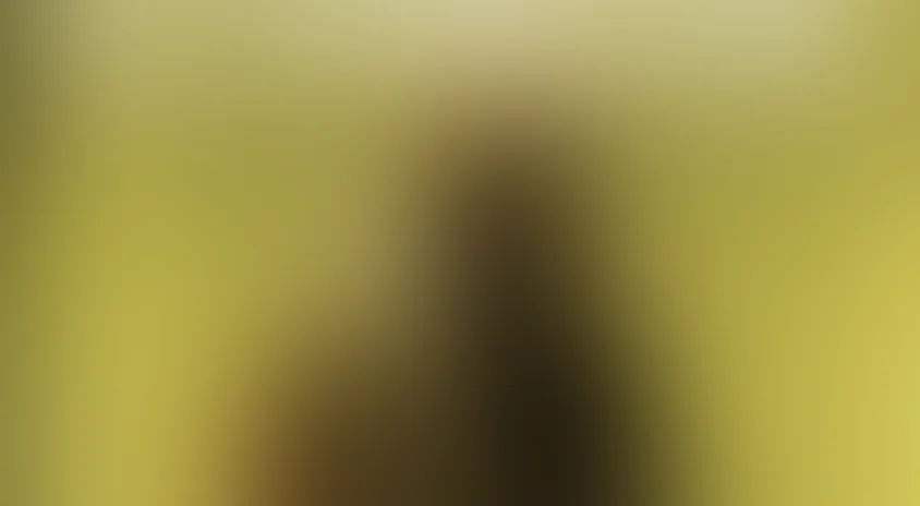 Паранормальные явления: За гранью страха