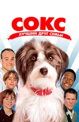Сокс. Лучший друг семьи