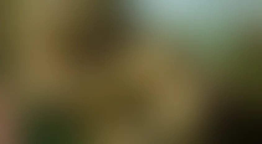 Всемирное природное наследие: Панама 3D