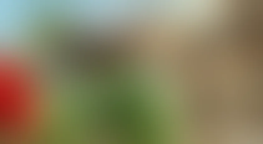 Всемирное природное наследие: Гавайи 3D