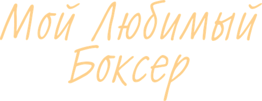 Мой любимый боксёр 1 сезон 10 серия