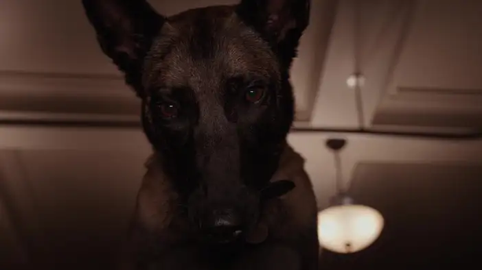 Фрагмент (дублированный)