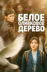 Белое оливковое дерево