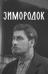 Зимородок