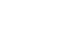 Дом на краю леса