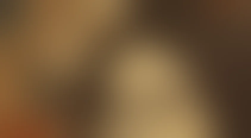 Возврата нет