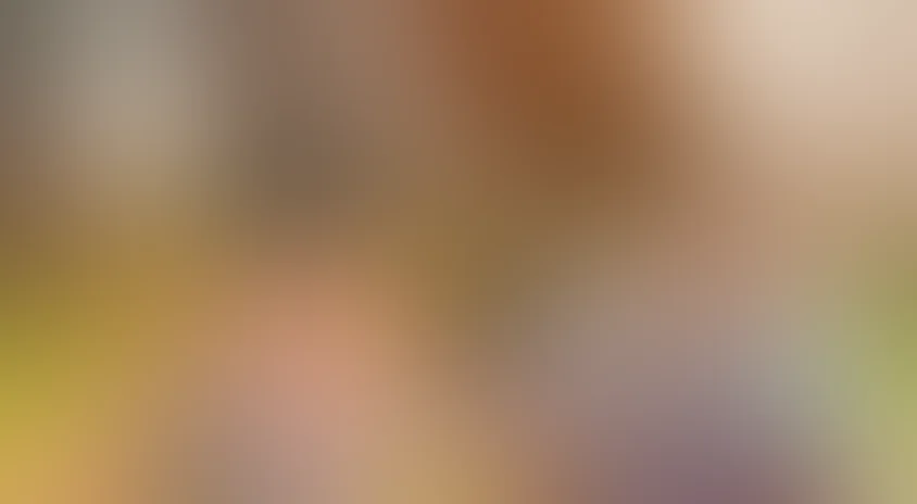 Убить дрозда