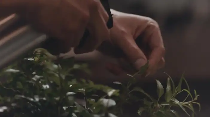 Фрагмент 5 (английский язык)