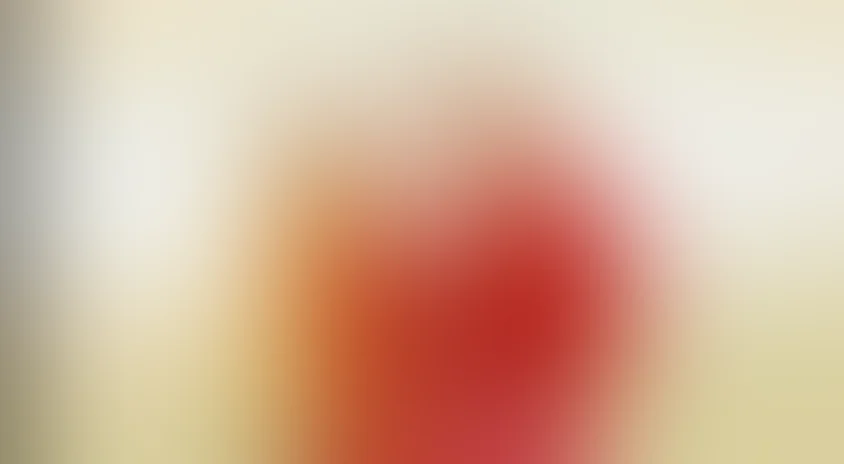 По следам бременских музыкантов