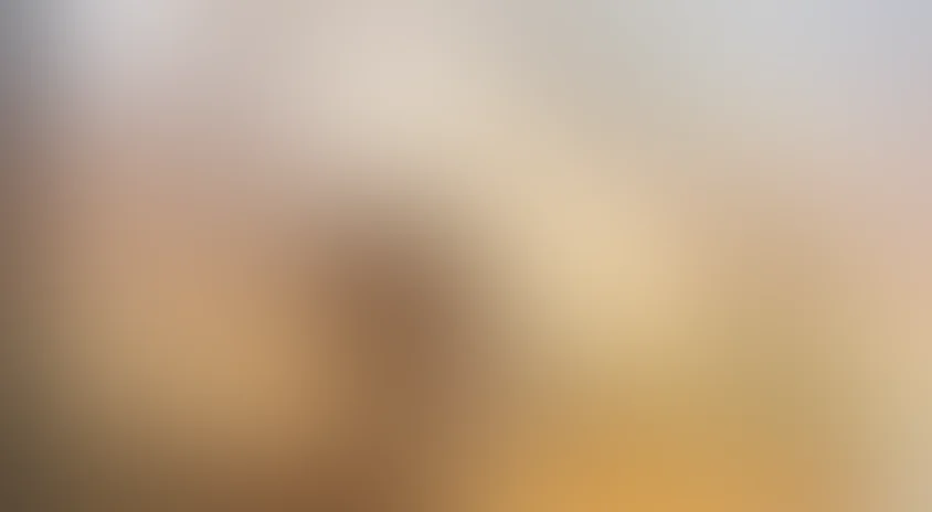 Мы – легенды