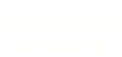 Навстречу шторму (Amediateka) (2009)
