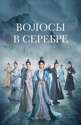 Волосы в серебре