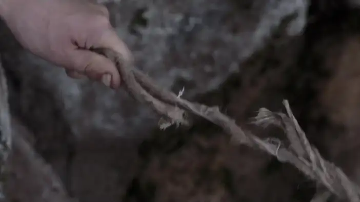 Фрагмент 3 (английский язык)