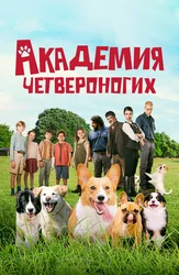 Академия четвероногих