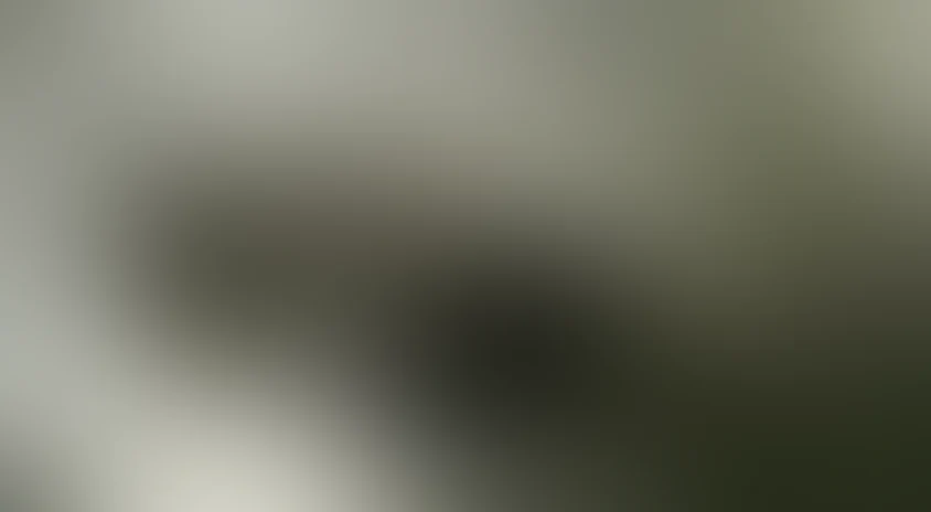 Знамение Судного дня