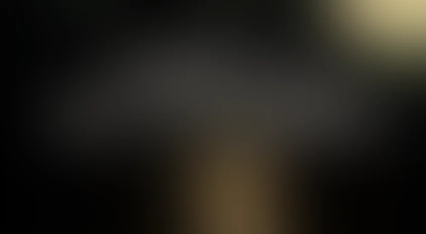 Умирать не страшно