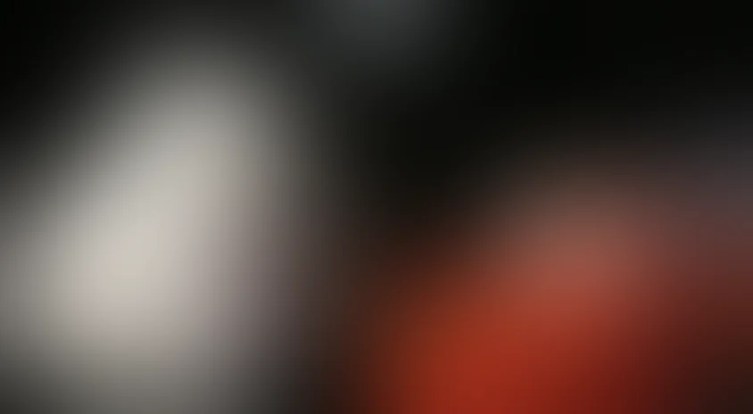 Мэтр на Луне