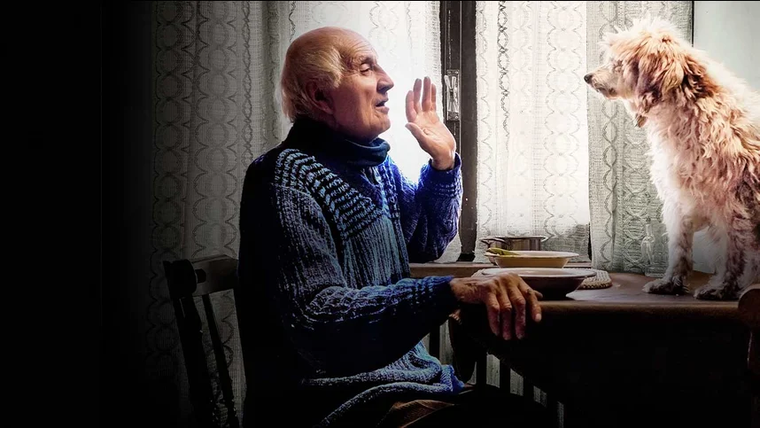 Охотники за трюфелями (на итальянском языке с русскими субтитрами)