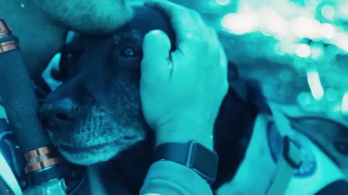 Трейлер (дублированный)