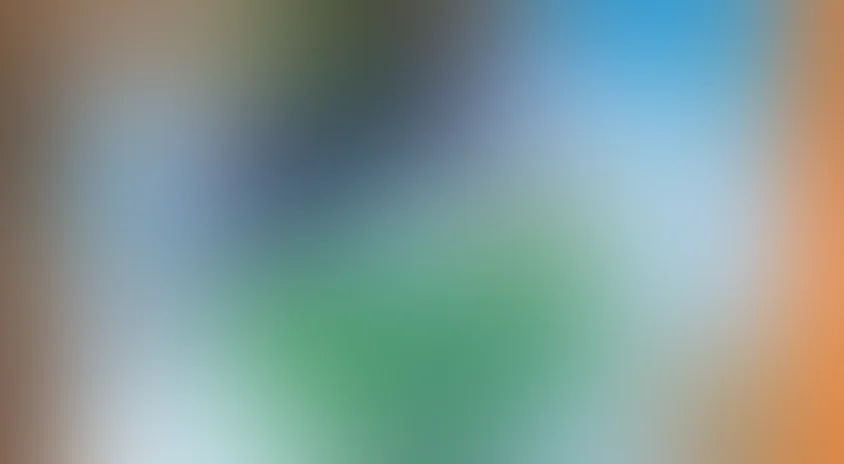 Гоу, Диего, Гоу! (на английском языке)