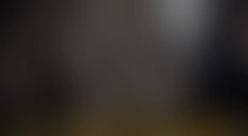 За деревьями