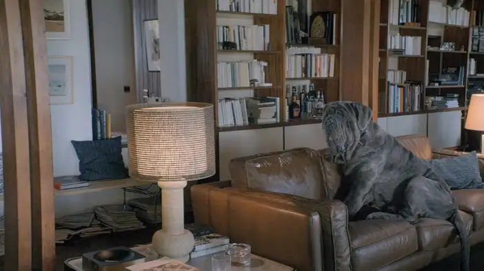 Трейлер (дублированный)