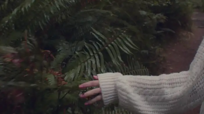 Трейлер (дублированный)