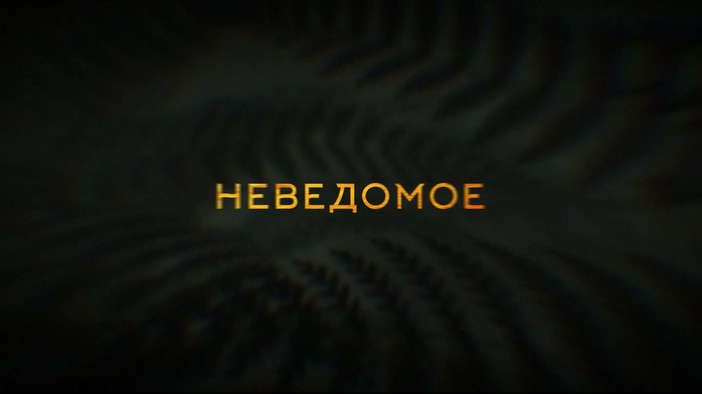 Трейлер (русский язык)