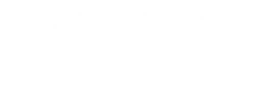 Лейтенант (фильм 2016)