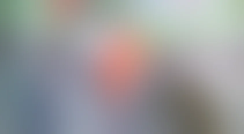 Рысь возвращается