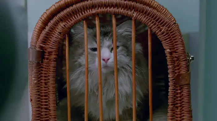 Фрагмент (английский язык)