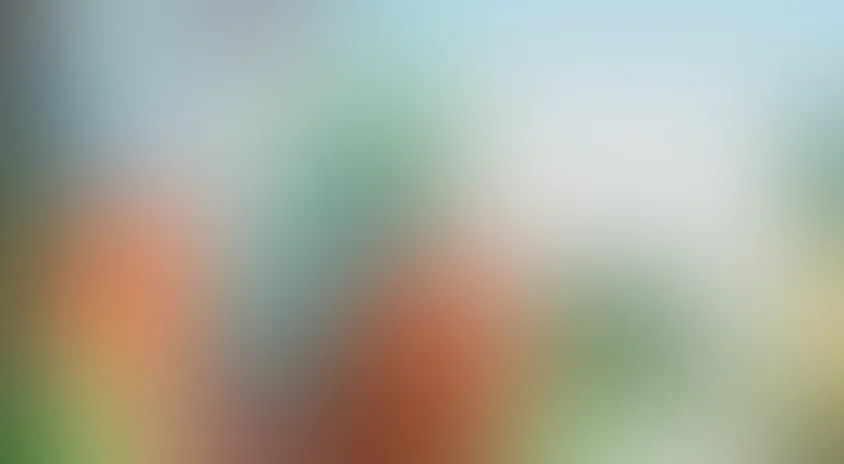 Храброе сердце