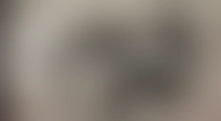 Без срока давности. Дети "Лебенсборна"