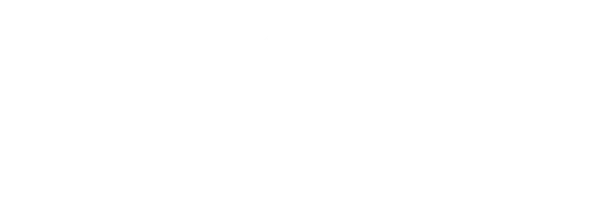 Тайное влечение (фильм 2024)