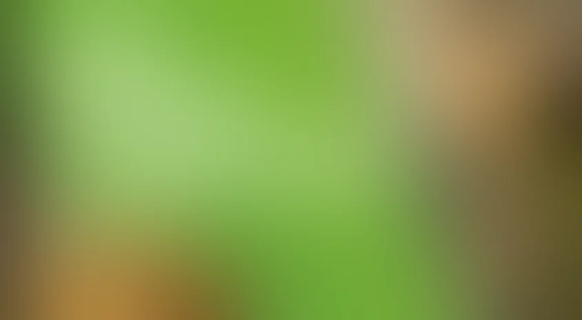 Бремя страстей человеческих