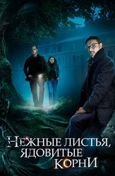 Нежные листья, ядовитые корни