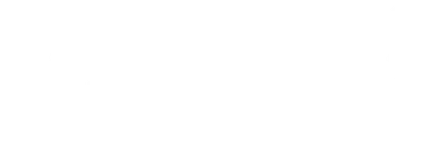 Таможня даёт добро (фильм 2010)