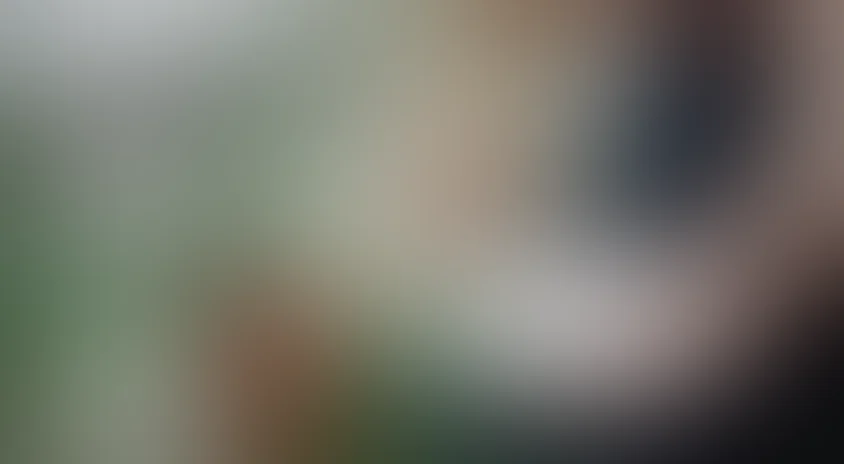 Штрихи огня