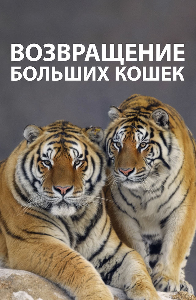 Birinchi marta eshakda Dik