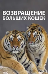 Возвращение больших кошек