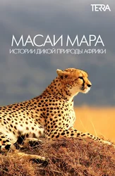 Масаи Мара. Истории дикой природы Африки