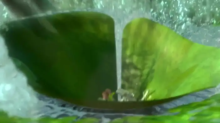 О съемках (английский язык)