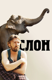 Голая Анастасия Сметанина