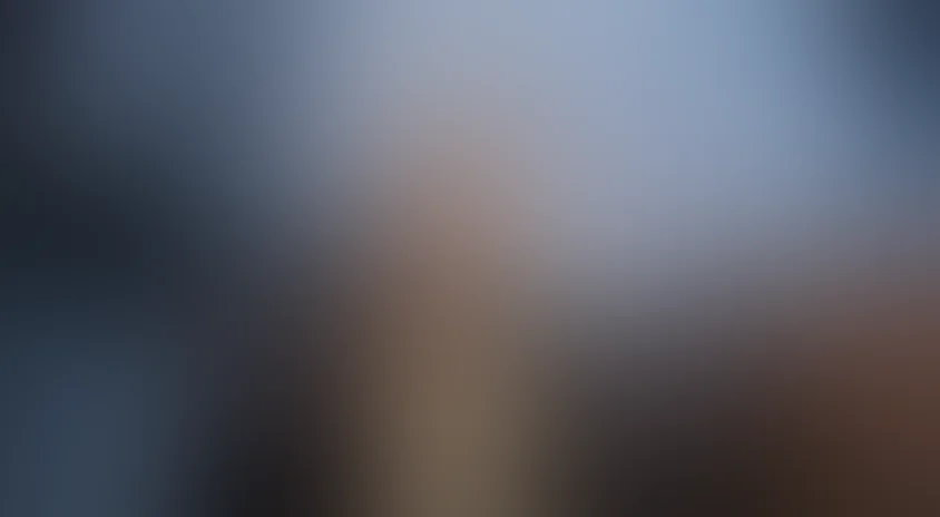 Сыщики районного масштаба 2: 9 апельсинов (2008)